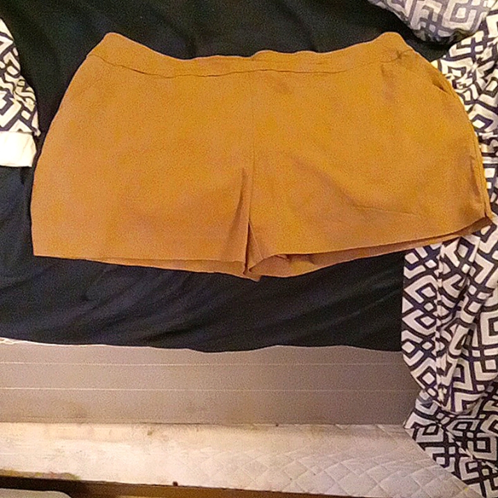 Woman's Shorts
